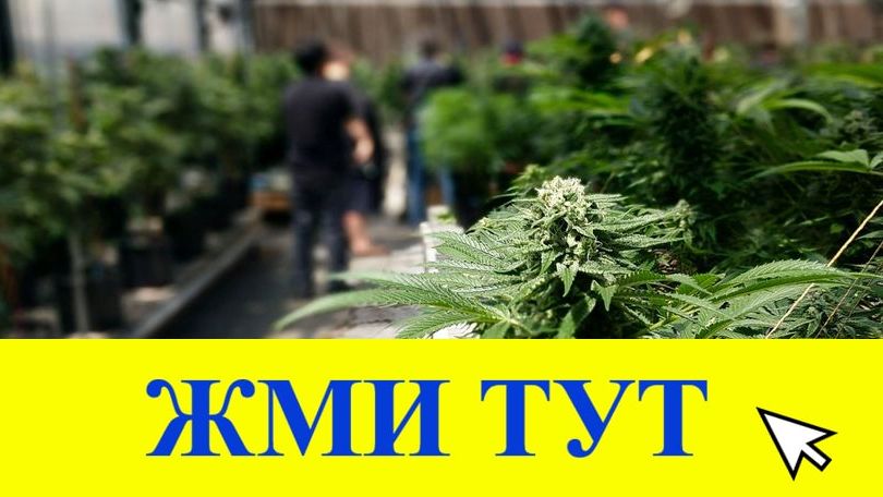 Купить наркотики в Златоусте